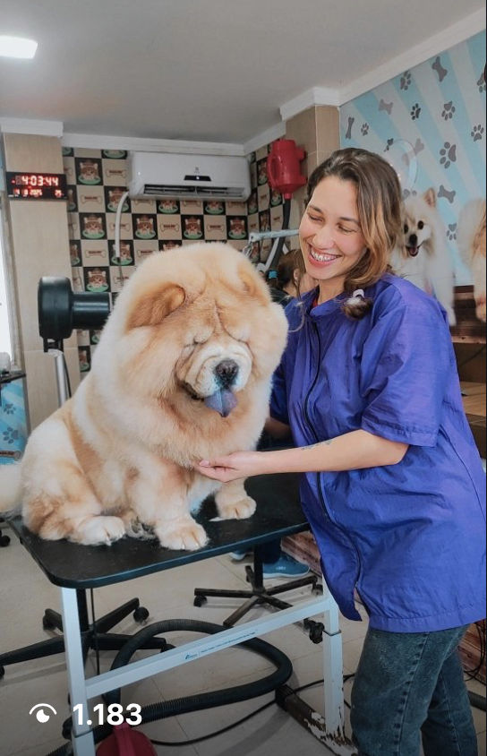 Pet recebendo encomenda Au Pets