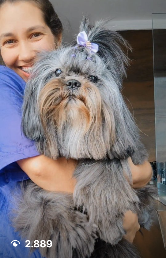 Compra recorrente Au Pets